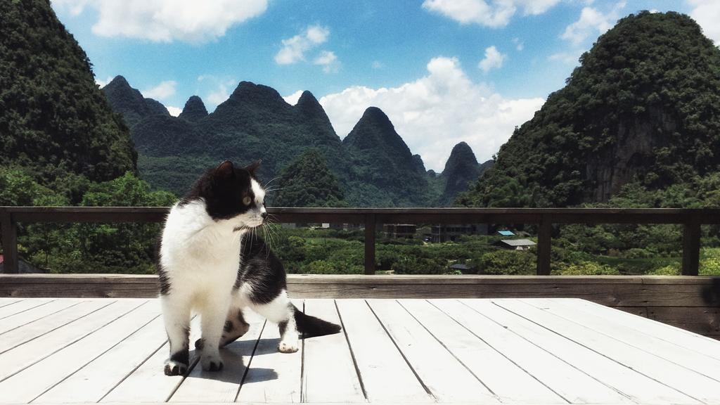 Zen Box House Ξενοδοχείο Yangshuo Εξωτερικό φωτογραφία