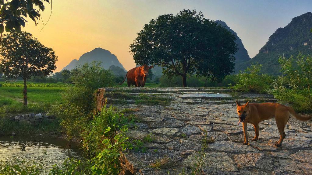Zen Box House Ξενοδοχείο Yangshuo Εξωτερικό φωτογραφία